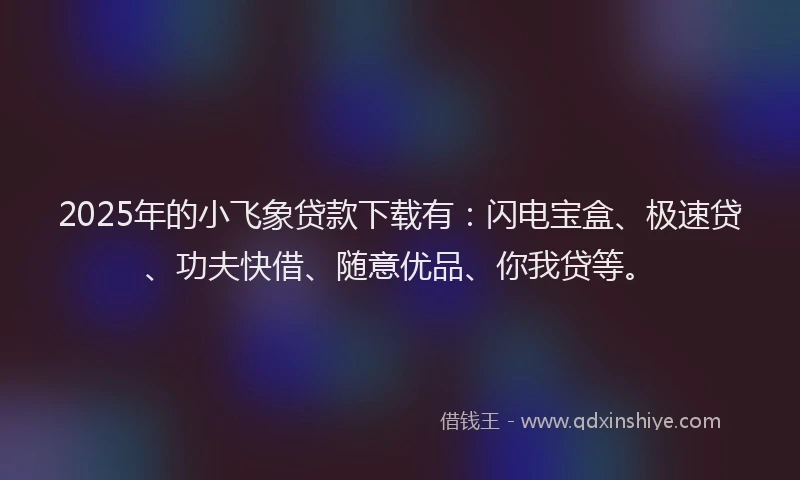 2025年的小飞象贷款下载有：闪电宝盒、极速贷、功夫快借、随意优品、你我贷等。