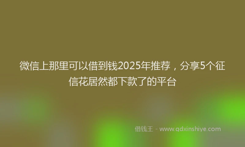 微信上那里可以借到钱2025年推荐，分享5个征信花居然都下款了的平台