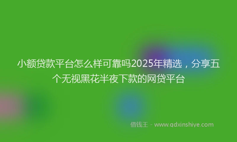 小额贷款平台怎么样可靠吗2025年精选，分享五个无视黑花半夜下款的网贷平台