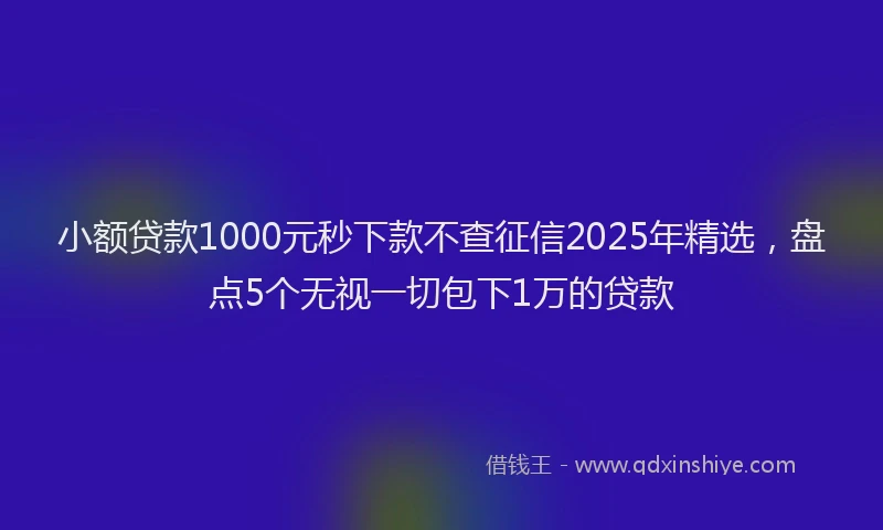 小额贷款1000元秒下款不查征信2025年精选，盘点5个无视一切包下1万的贷款