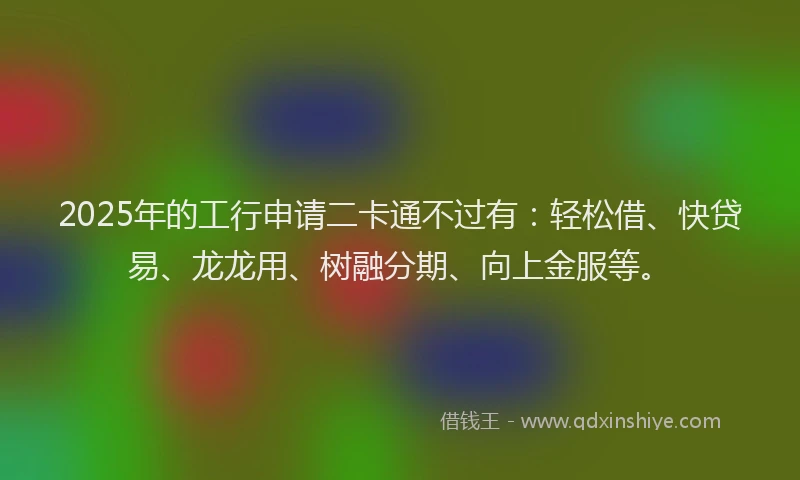 2025年的工行申请二卡通不过有：轻松借、快贷易、龙龙用、树融分期、向上金服等。
