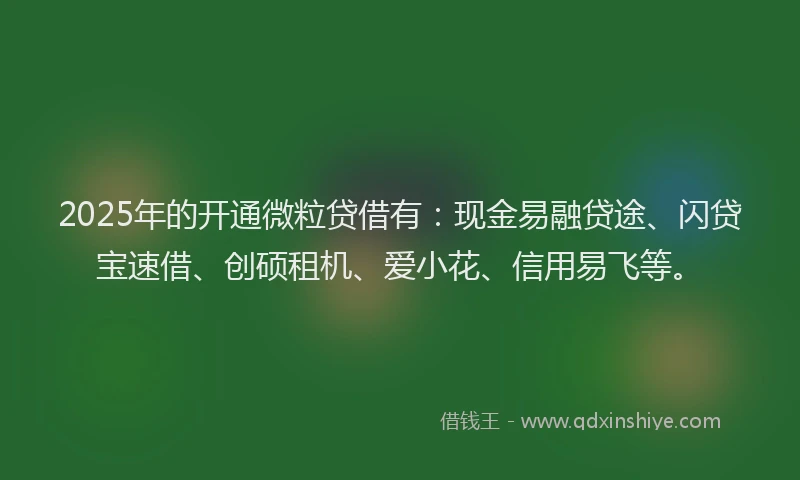 2025年的开通微粒贷借有：现金易融贷途、闪贷宝速借、创硕租机、爱小花、信用易飞等。