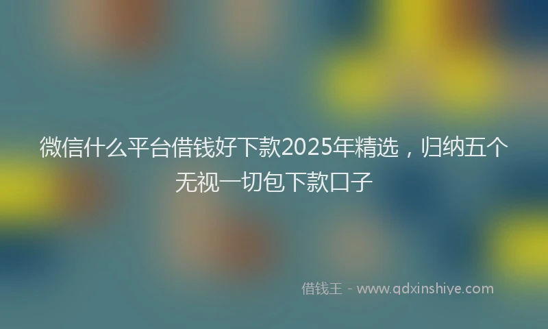 微信什么平台借钱好下款2025年精选，归纳五个无视一切包下款口子