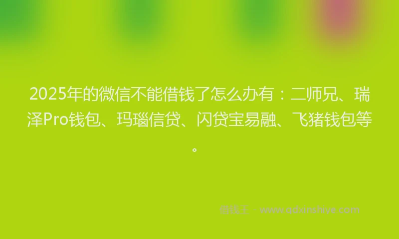 2025年的微信不能借钱了怎么办有：二师兄、瑞泽Pro钱包、玛瑙信贷、闪贷宝易融、飞猪钱包等。