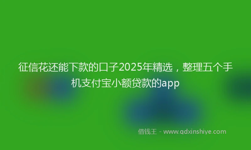 征信花还能下款的口子2025年精选，整理五个手机支付宝小额贷款的app