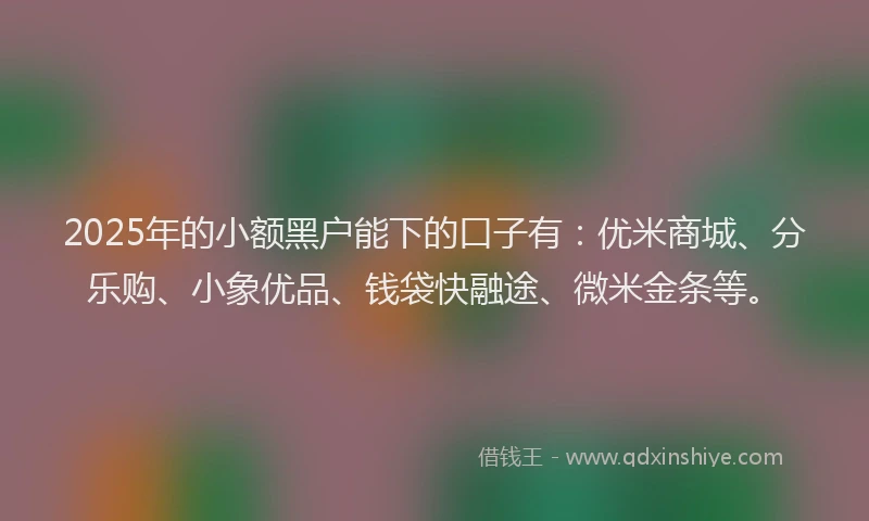 2025年的小额黑户能下的口子有：优米商城、分乐购、小象优品、钱袋快融途、微米金条等。