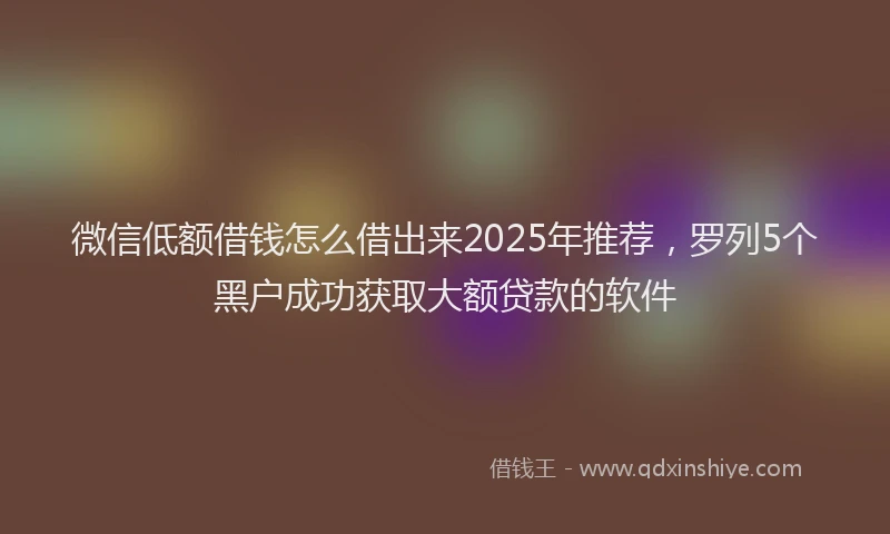 微信低额借钱怎么借出来2025年推荐，罗列5个黑户成功获取大额贷款的软件