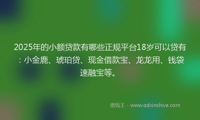 2025年的小额贷款有哪些正规平台18岁可以贷有：小金鹿、琥珀贷、现金借款宝、龙龙用、钱袋速融宝等。