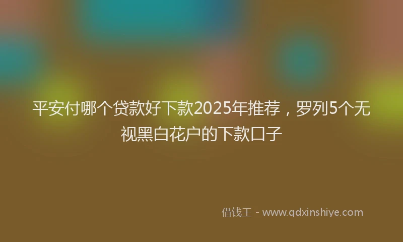 平安付哪个贷款好下款2025年推荐，罗列5个无视黑白花户的下款口子