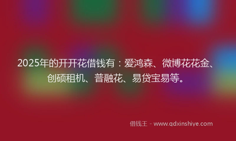 2025年的开开花借钱有：爱鸿森、微博花花金、创硕租机、普融花、易贷宝易等。