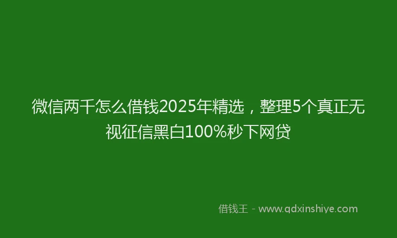 微信两千怎么借钱2025年精选，整理5个真正无视征信黑白100%秒下网贷