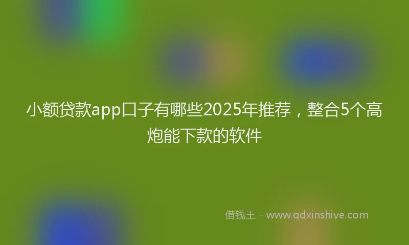 小额贷款app口子有哪些2025年推荐，整合5个高炮能下款的软件