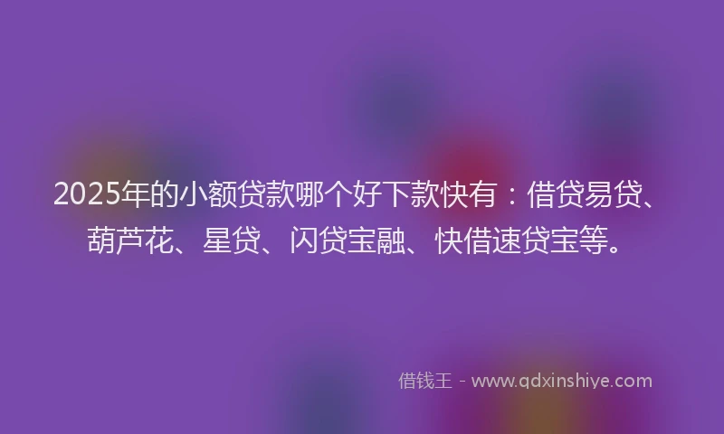 2025年的小额贷款哪个好下款快有：借贷易贷、葫芦花、星贷、闪贷宝融、快借速贷宝等。