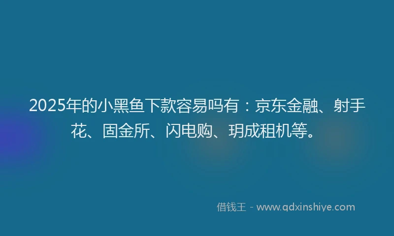 2025年的小黑鱼下款容易吗有：京东金融、射手花、固金所、闪电购、玥成租机等。