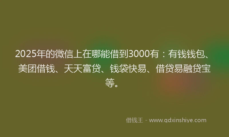 2025年的微信上在哪能借到3000有：有钱钱包、美团借钱、天天富贷、钱袋快易、借贷易融贷宝等。