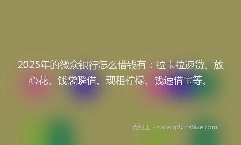 2025年的微众银行怎么借钱有：拉卡拉速贷、放心花、钱袋瞬借、现租柠檬、钱速借宝等。