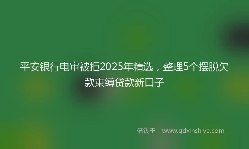 平安银行电审被拒2025年精选，整理5个摆脱欠款束缚贷款新口子