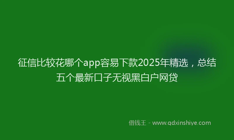 征信比较花哪个app容易下款2025年精选，总结五个最新口子无视黑白户网贷