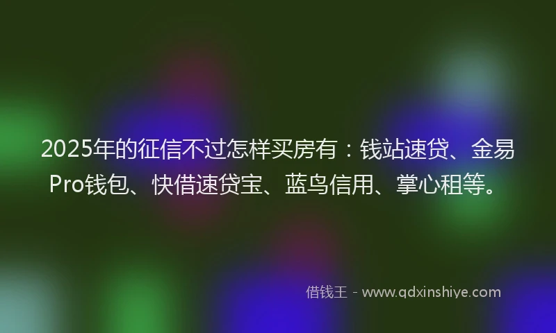 2025年的征信不过怎样买房有：钱站速贷、金易Pro钱包、快借速贷宝、蓝鸟信用、掌心租等。