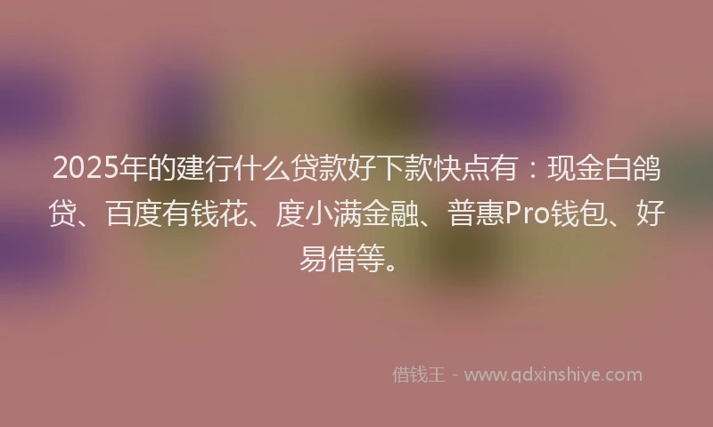 2025年的建行什么贷款好下款快点有：现金白鸽贷、百度有钱花、度小满金融、普惠Pro钱包、好易借等。