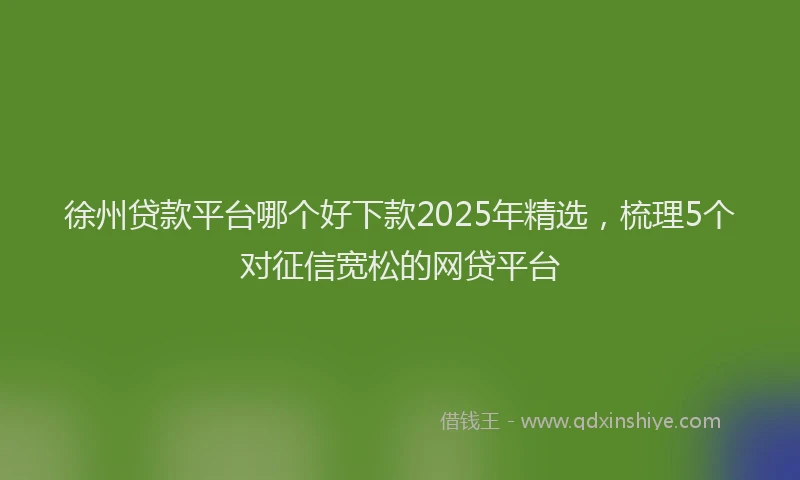 徐州贷款平台哪个好下款2025年精选，梳理5个对征信宽松的网贷平台