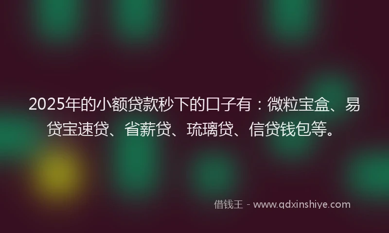 2025年的小额贷款秒下的口子有：微粒宝盒、易贷宝速贷、省薪贷、琉璃贷、信贷钱包等。