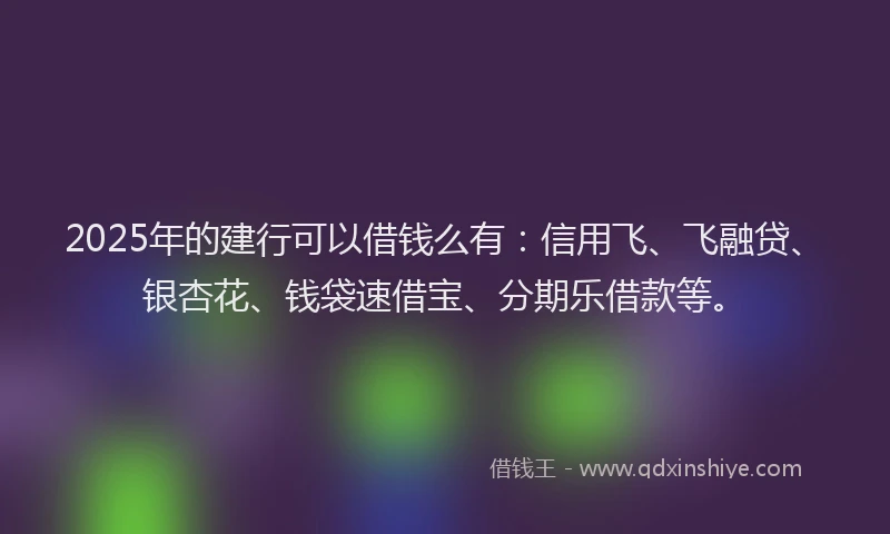 2025年的建行可以借钱么有：信用飞、飞融贷、银杏花、钱袋速借宝、分期乐借款等。