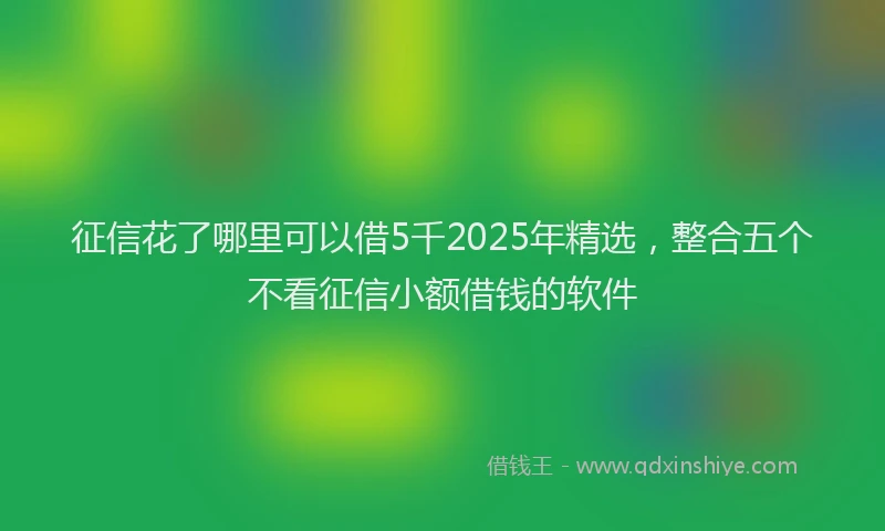 征信花了哪里可以借5千2025年精选，整合五个不看征信小额借钱的软件