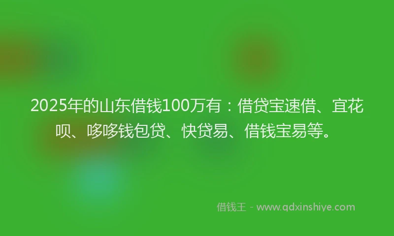 2025年的山东借钱100万有：借贷宝速借、宜花呗、哆哆钱包贷、快贷易、借钱宝易等。