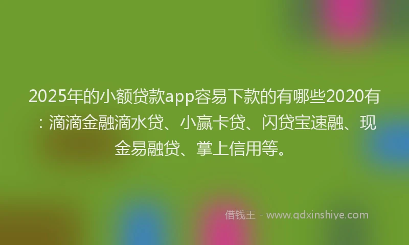 2025年的小额贷款app容易下款的有哪些2020有：滴滴金融滴水贷、小赢卡贷、闪贷宝速融、现金易融贷、掌上信用等。