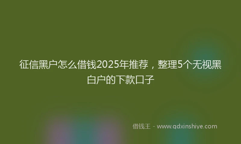 征信黑户怎么借钱2025年推荐，整理5个无视黑白户的下款口子