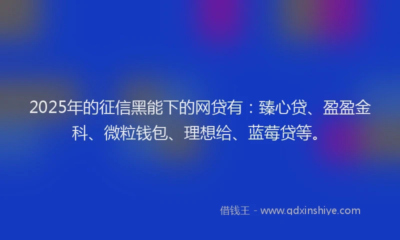 2025年的征信黑能下的网贷有：臻心贷、盈盈金科、微粒钱包、理想给、蓝莓贷等。