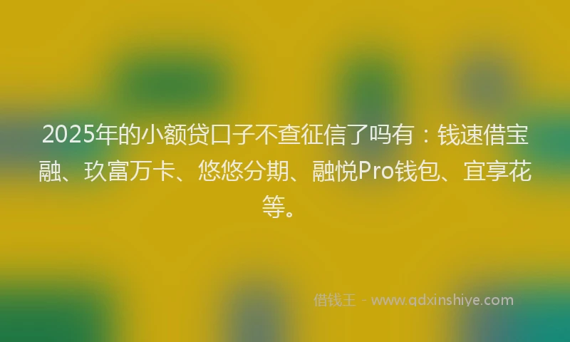 2025年的小额贷口子不查征信了吗有：钱速借宝融、玖富万卡、悠悠分期、融悦Pro钱包、宜享花等。