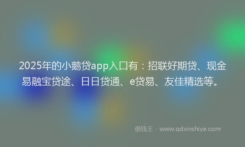 2025年的小鹅贷app入口有：招联好期贷、现金易融宝贷途、日日贷通、e贷易、友佳精选等。