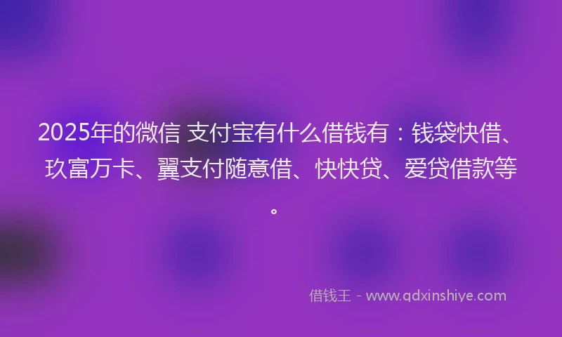 2025年的微信 支付宝有什么借钱有：钱袋快借、玖富万卡、翼支付随意借、快快贷、爱贷借款等。