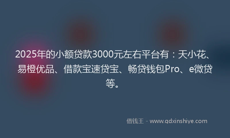 2025年的小额贷款3000元左右平台有：天小花、易橙优品、借款宝速贷宝、畅贷钱包Pro、e微贷等。