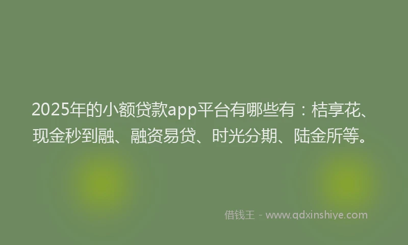 2025年的小额贷款app平台有哪些有：桔享花、现金秒到融、融资易贷、时光分期、陆金所等。