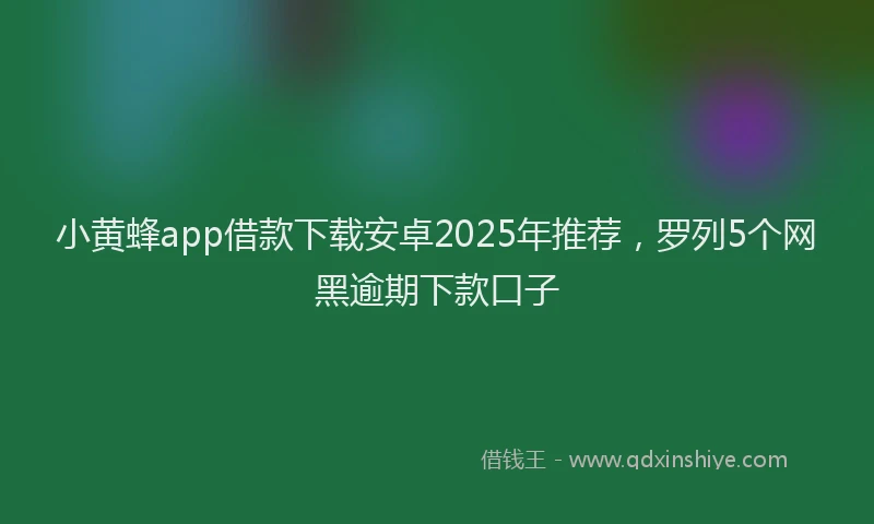 小黄蜂app借款下载安卓2025年推荐，罗列5个网黑逾期下款口子
