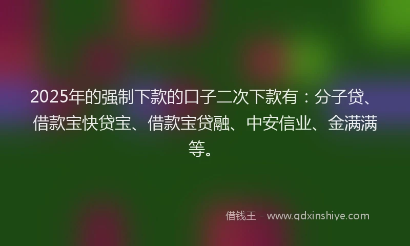 2025年的强制下款的口子二次下款有：分子贷、借款宝快贷宝、借款宝贷融、中安信业、金满满等。
