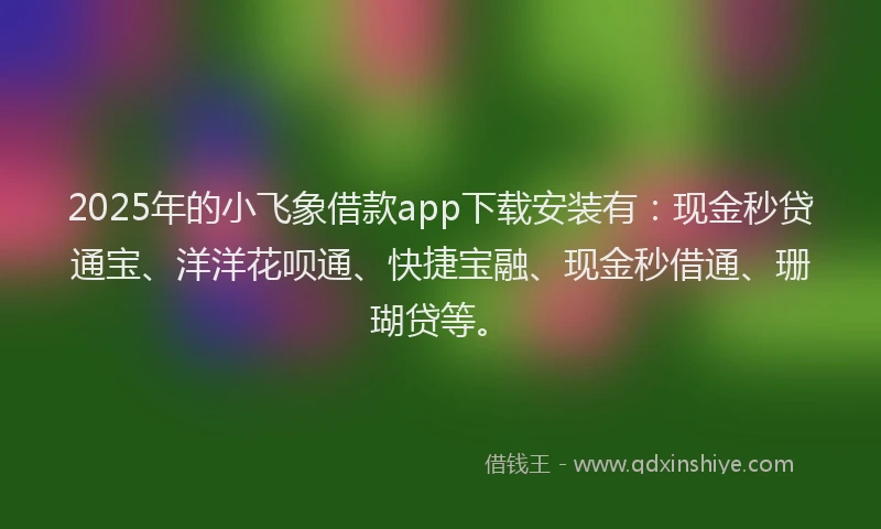 2025年的小飞象借款app下载安装有：现金秒贷通宝、洋洋花呗通、快捷宝融、现金秒借通、珊瑚贷等。