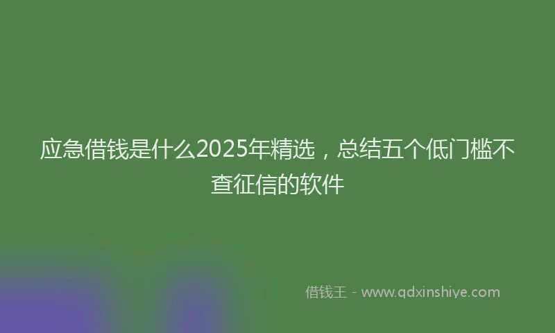 应急借钱是什么2025年精选，总结五个低门槛不查征信的软件