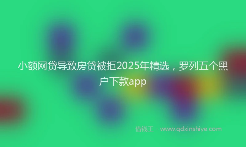 小额网贷导致房贷被拒2025年精选，罗列五个黑户下款app