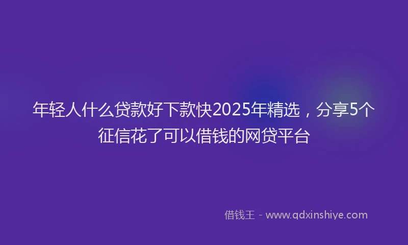 年轻人什么贷款好下款快2025年精选，分享5个征信花了可以借钱的网贷平台