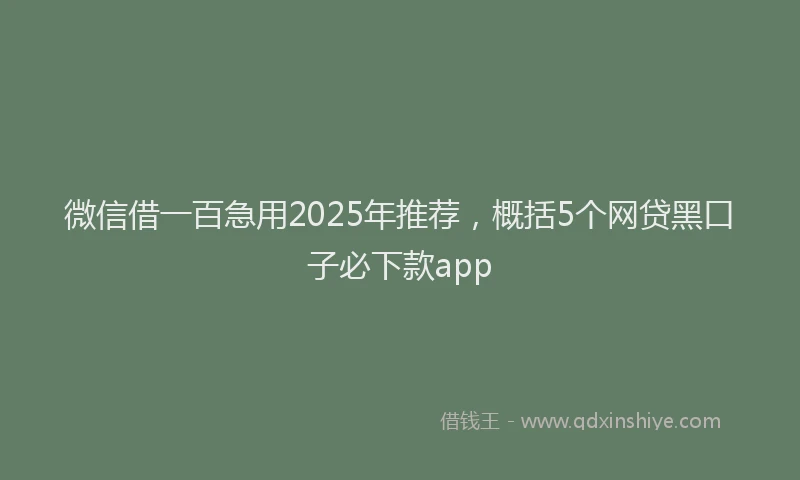 微信借一百急用2025年推荐，概括5个网贷黑口子必下款app