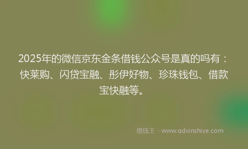 2025年的微信京东金条借钱公众号是真的吗有：快莱购、闪贷宝融、彤伊好物、珍珠钱包、借款宝快融等。