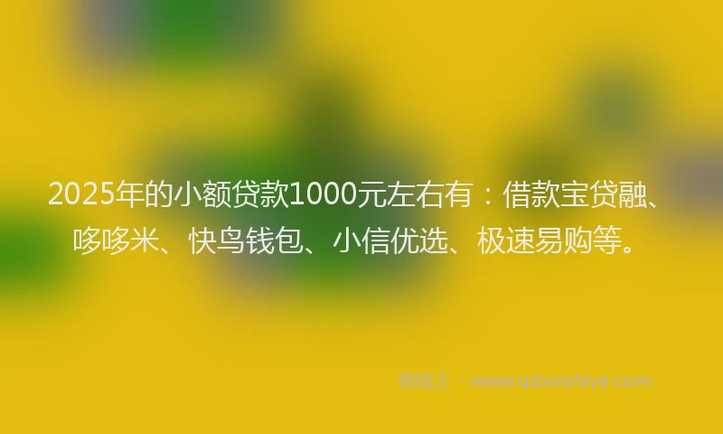 2025年的小额贷款1000元左右有：借款宝贷融、哆哆米、快鸟钱包、小信优选、极速易购等。