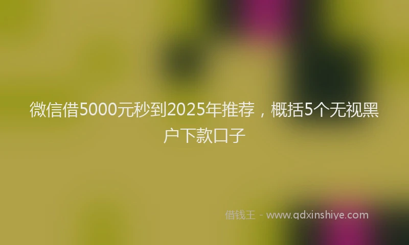 微信借5000元秒到2025年推荐，概括5个无视黑户下款口子