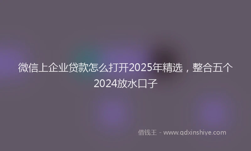 微信上企业贷款怎么打开2025年精选，整合五个2024放水口子