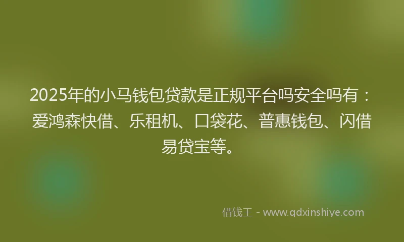 2025年的小马钱包贷款是正规平台吗安全吗有：爱鸿森快借、乐租机、口袋花、普惠钱包、闪借易贷宝等。