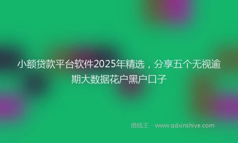 小额贷款平台软件2025年精选，分享五个无视逾期大数据花户黑户口子